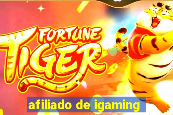 afiliado de igaming