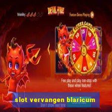 slot vervangen blaricum