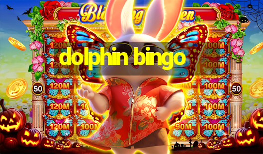 dolphin bingo