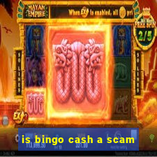 is bingo cash a scam