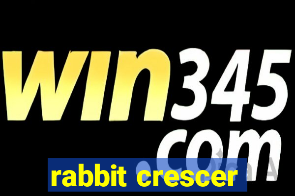 rabbit crescer