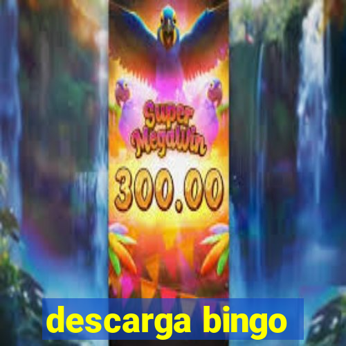 descarga bingo