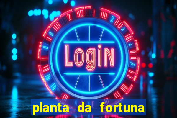 planta da fortuna e felicidade