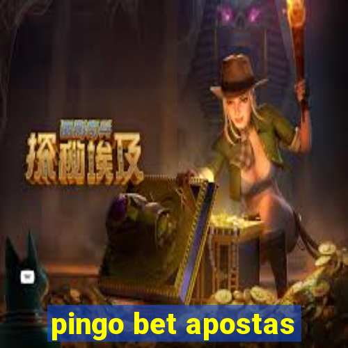 pingo bet apostas