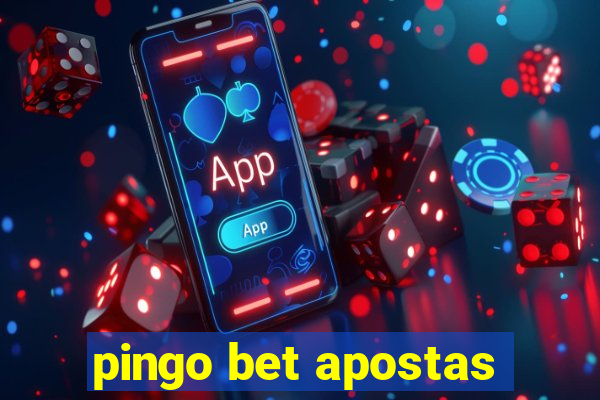 pingo bet apostas