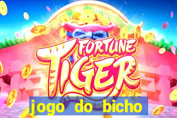 jogo do bicho crash bingo