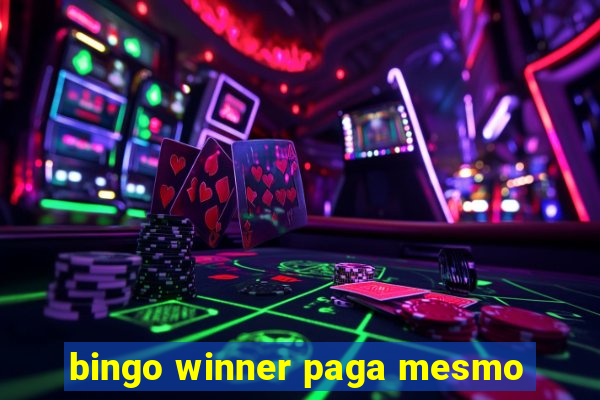 bingo winner paga mesmo