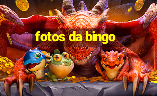 fotos da bingo