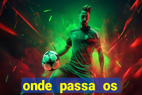 onde passa os jogos do brasileirao