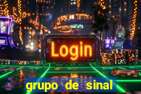 grupo de sinal fortune tiger