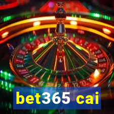 bet365 cai