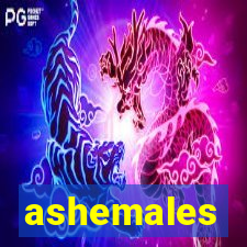 ashemales