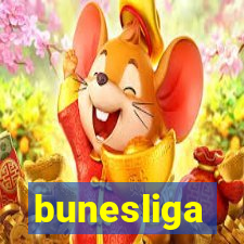 bunesliga