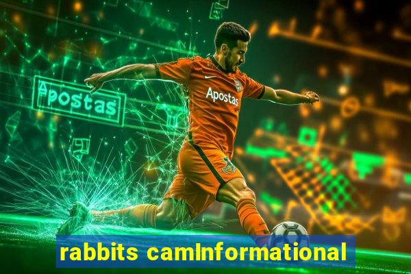 rabbits camInformational