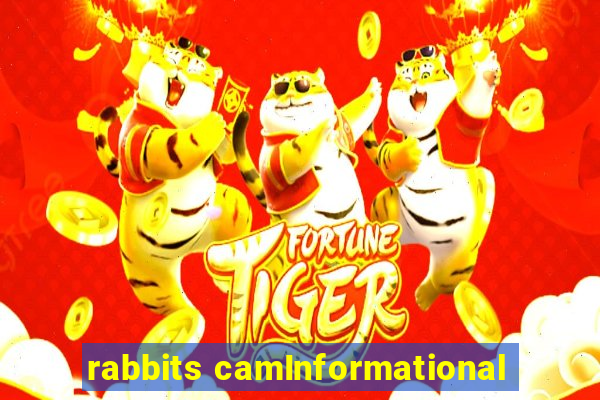 rabbits camInformational