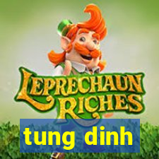 tung dinh