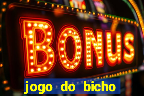 jogo do bicho fazer aposta