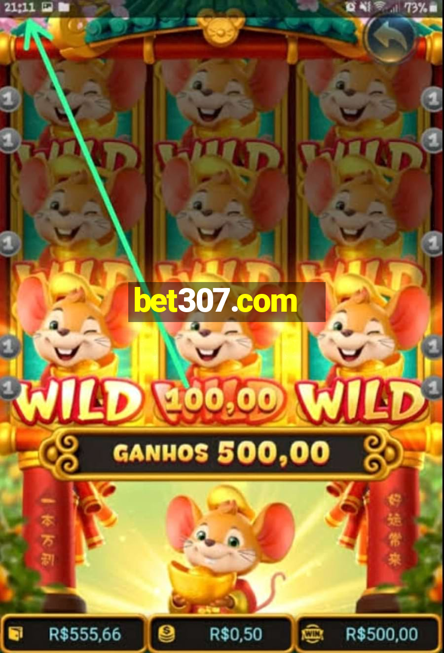 bet307.com