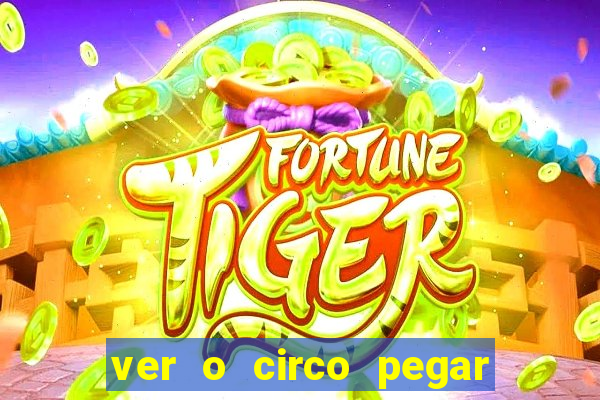 ver o circo pegar fogo significado