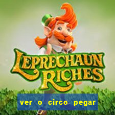 ver o circo pegar fogo significado