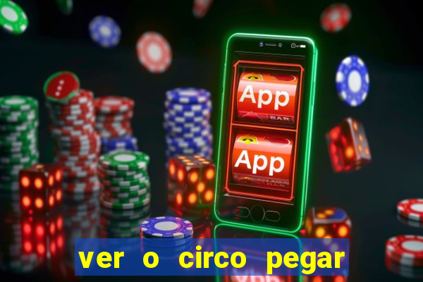 ver o circo pegar fogo significado