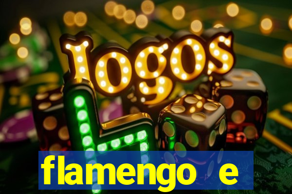 flamengo e palmeiras palpite