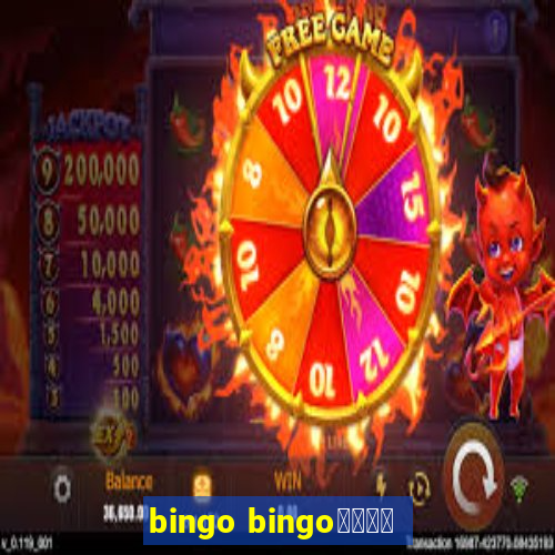 bingo bingo線上投注