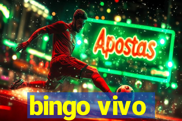 bingo vivo