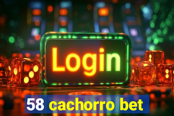 58 cachorro bet