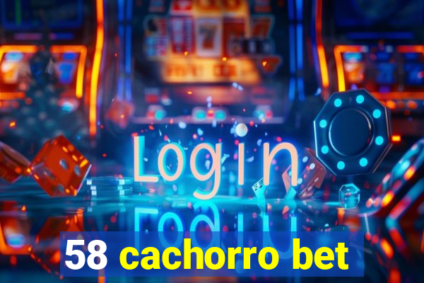 58 cachorro bet