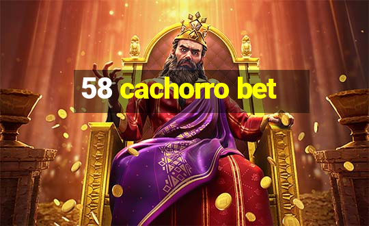 58 cachorro bet