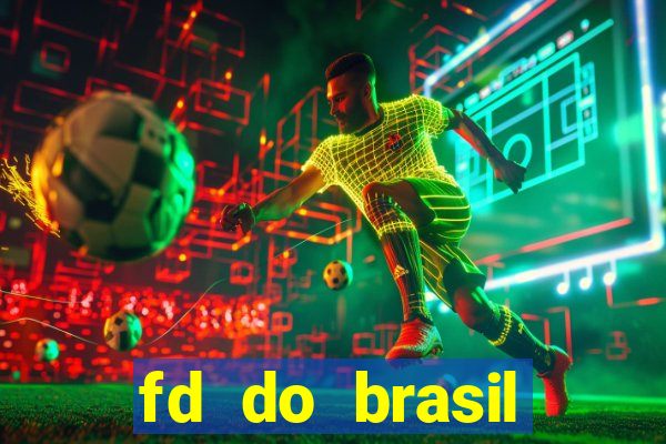 fd do brasil solu??es de pagamento ltda