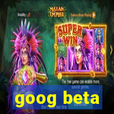 goog beta