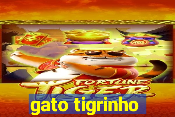 gato tigrinho