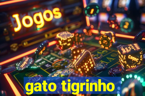 gato tigrinho