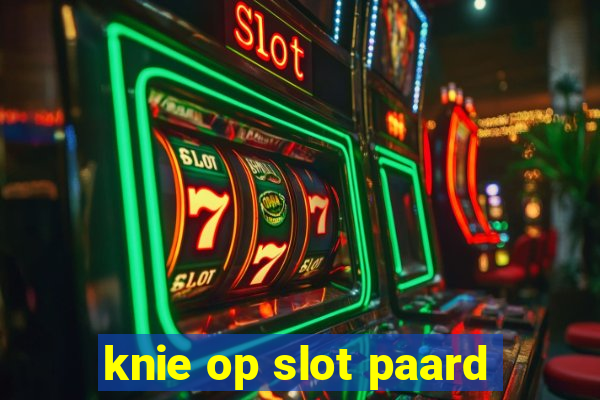 knie op slot paard