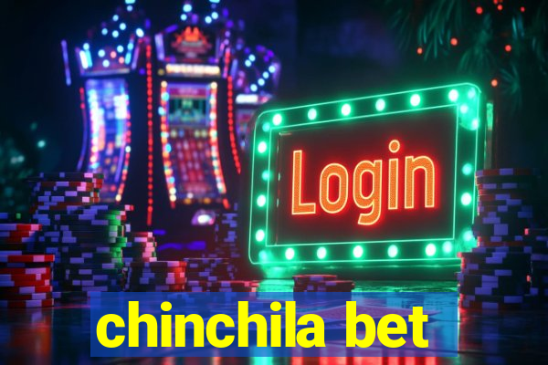 chinchila bet