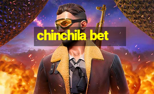 chinchila bet