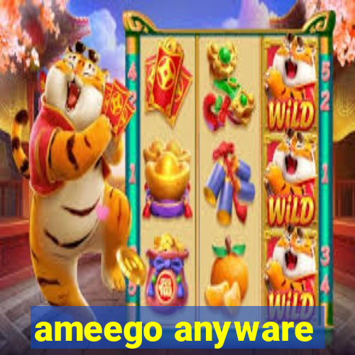 ameego anyware