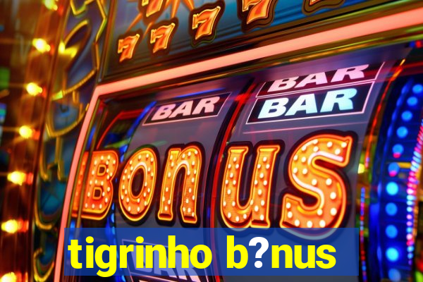 tigrinho b?nus