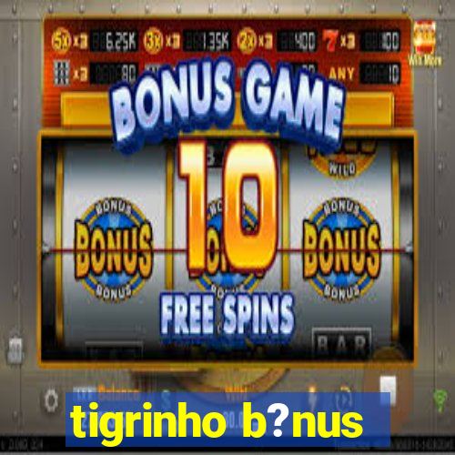 tigrinho b?nus