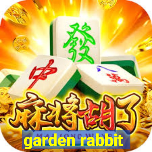 garden rabbit