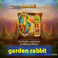 garden rabbit