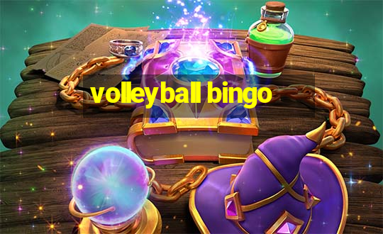 volleyball bingo