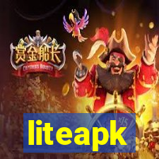 liteapk