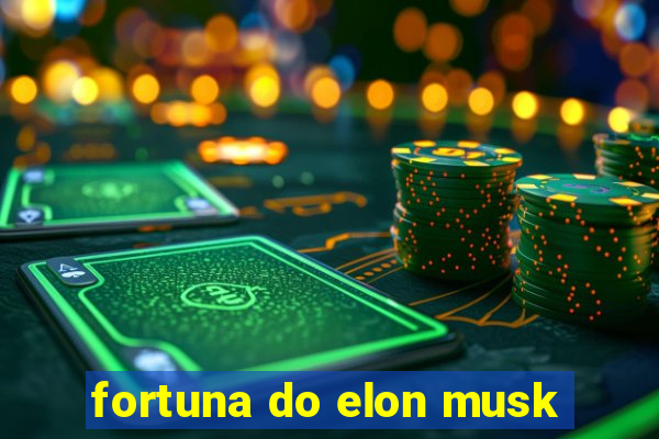 fortuna do elon musk