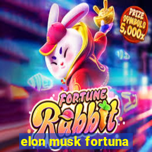 elon musk fortuna