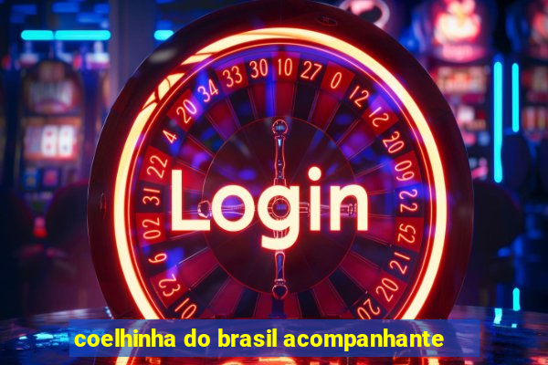 coelhinha do brasil acompanhante