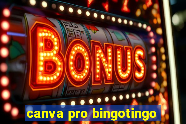 canva pro bingotingo