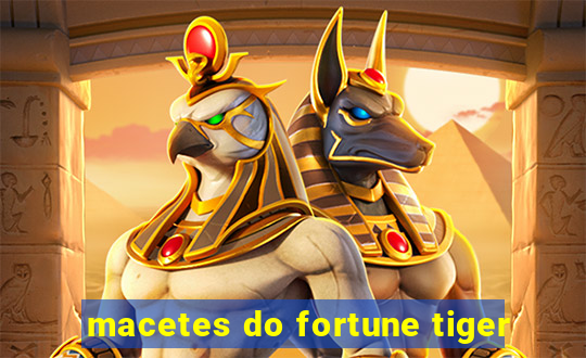 macetes do fortune tiger